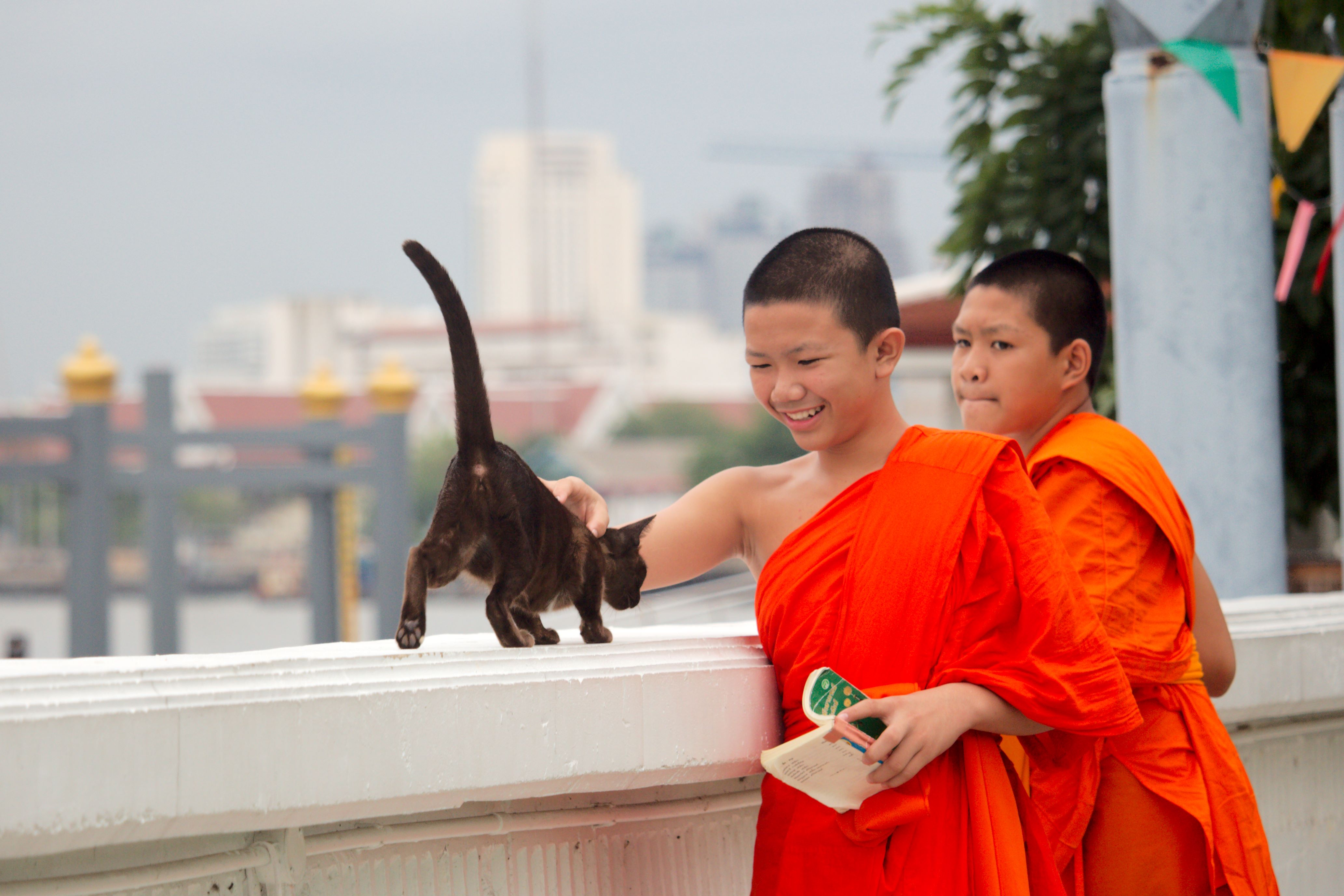 Bangkok – Tuk tuks and tailored suits.