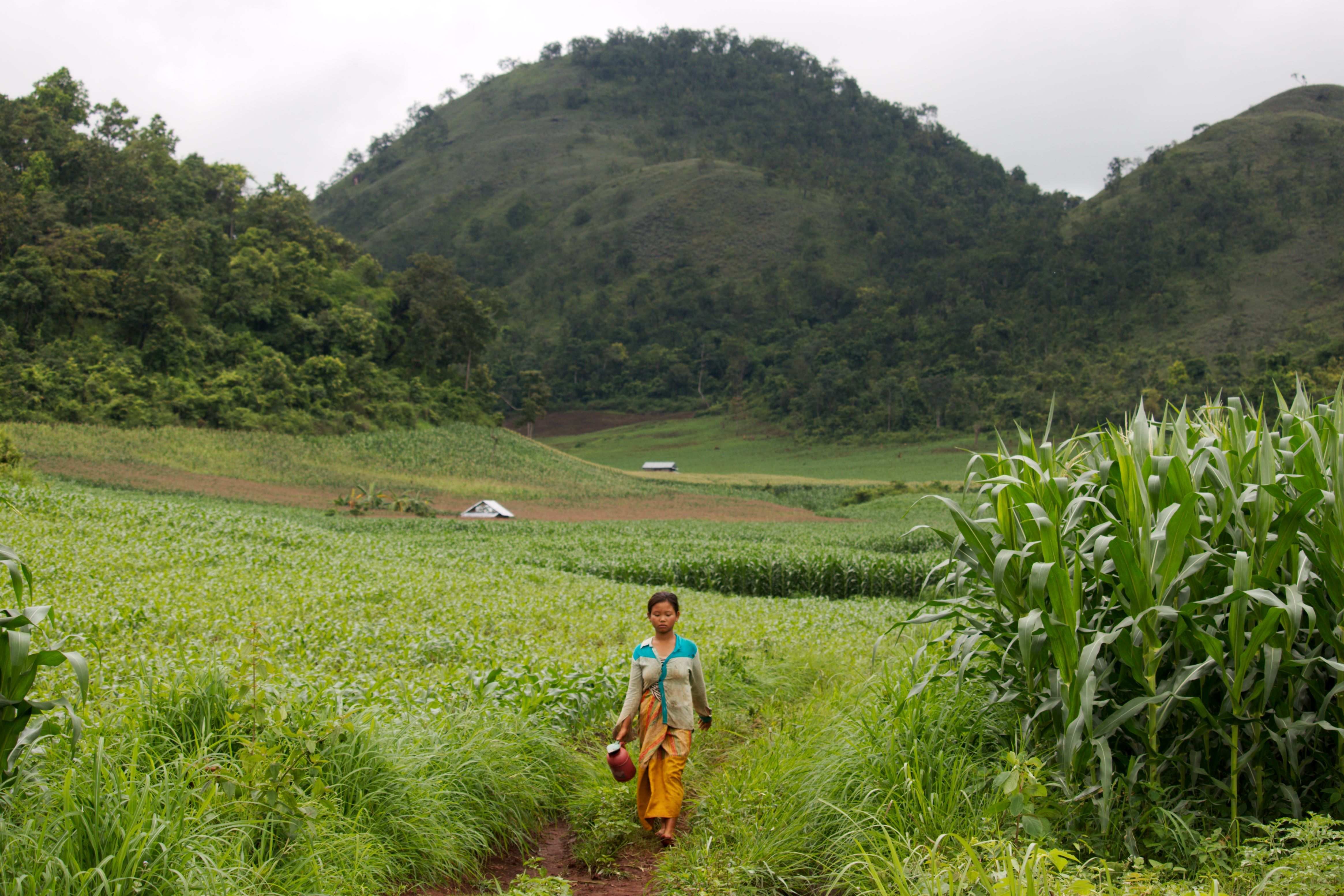 Trekking – Hsipaw